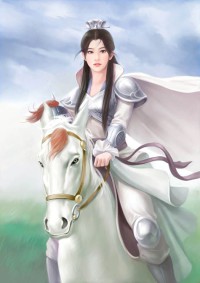 新笑傲之杨小聪