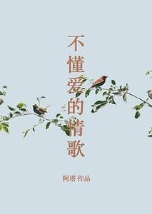 不懂愛的情歌